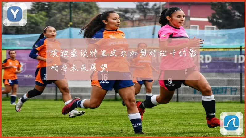 埃迪豪谈特里皮尔加盟对纽卡的影响与未来展望