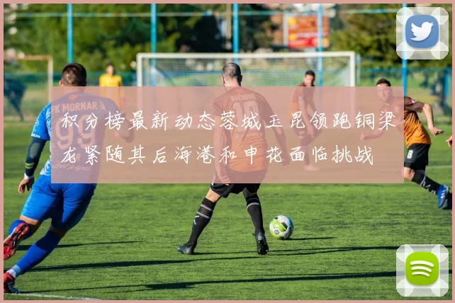 积分榜最新动态蓉城玉昆领跑铜梁龙紧随其后海港和申花面临挑战